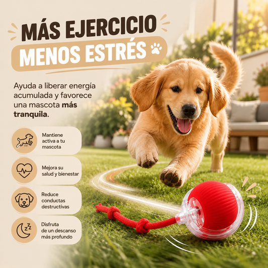 FetchBall — Pelota Interactiva Recargable para Perros y Gatos